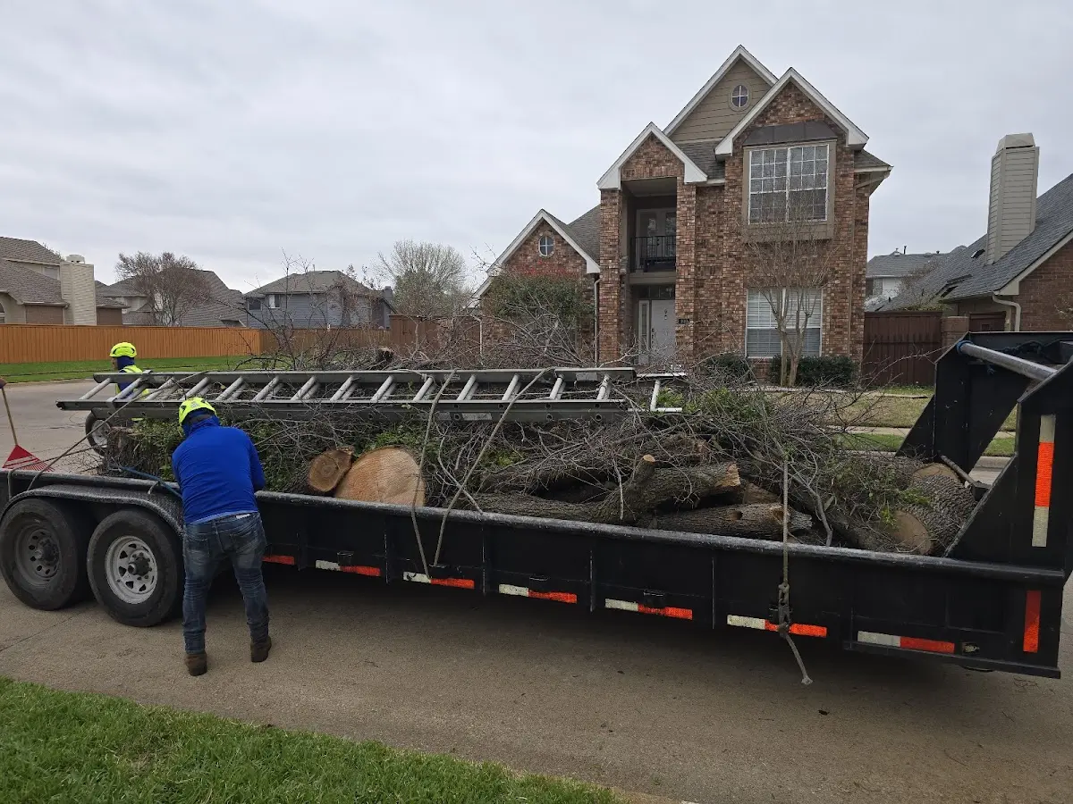 Expert Tree Pest Control with proper safety equipment in Three Rivers